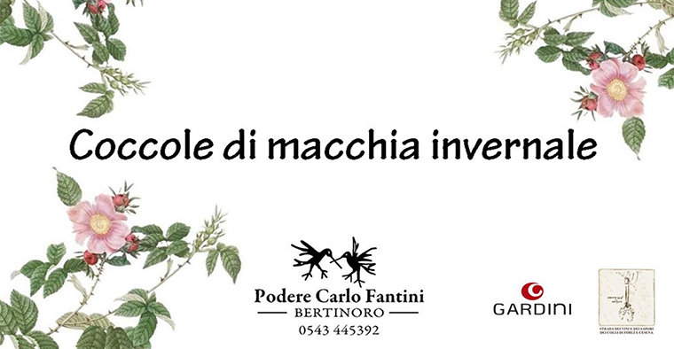 Coccole di macchia invernale
